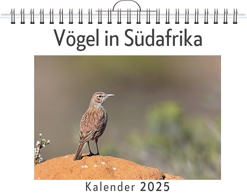 Vögel in Südafrika - (Wandkalender 2025, Kalender DIN A4 quer, Monatskalender im Querformat mit Kalendarium, das perfekte Geschenk) von FlipFlop