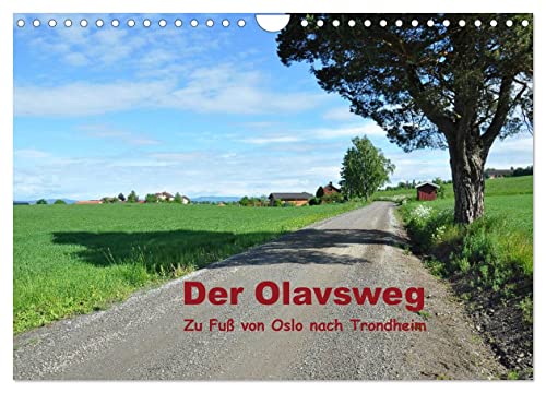 Der Olavsweg (Wandkalender 2024 DIN A4 quer), CALVENDO Monatskalender