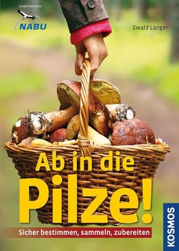 Ab in die Pilze!