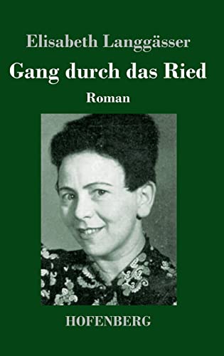 Gang durch das Ried: Roman