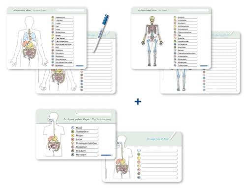 Ich kenne meinen Körper - Organe / Skelett / Verdauung- 3 Tafeln im Set mit Stift: 3 stabile wiederbeschreibbare Lernvorlagen im großen Format