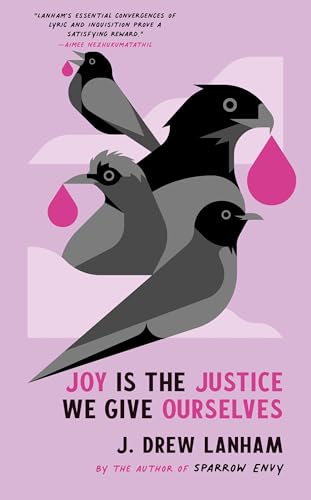 Joy is the Justice We Give Ourselves von Hub City Press