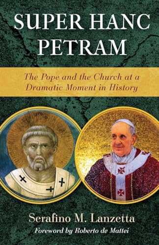 Super Hanc Petram: The Pope and the Church at a Dramatic Moment in History (Os Justi Studies in Catholic Tradition, Band 9)