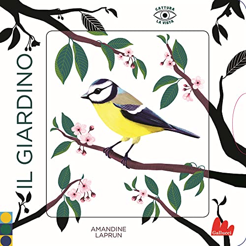 Il giardino. Cattura la vista. Ediz. a colori (Artedicarte)