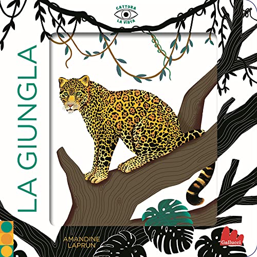 La giungla. Cattura la vista. Ediz. a colori (Artedicarte)