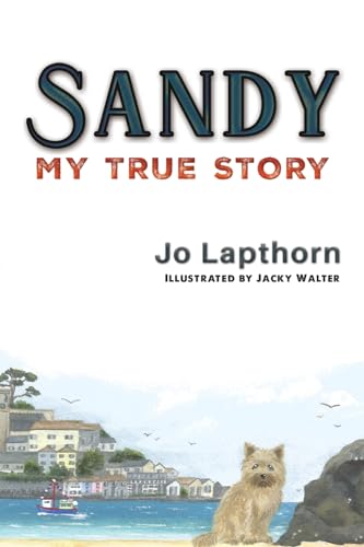 Sandy: My True Story von Austin Macauley