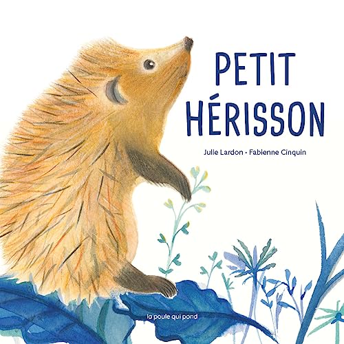 LES TOUT-CARTONS - PETIT HÉRISSON: -