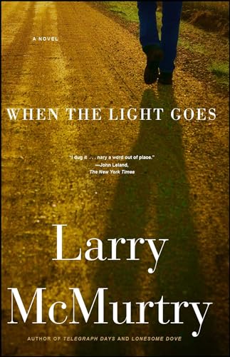 When the Light Goes: A Novel