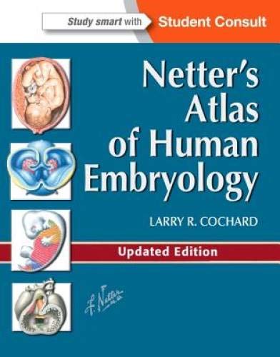 Netter's Atlas of Human Embryology: Updated Edition (Netter Basic Science) von Saunders