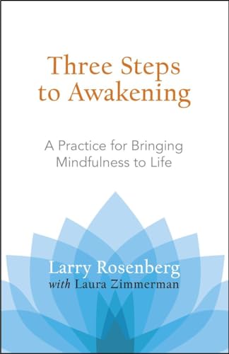 Three Steps to Awakening: A Practice for Bringing Mindfulness to Life