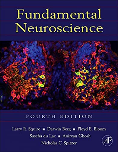 Fundamental Neuroscience von Academic Press