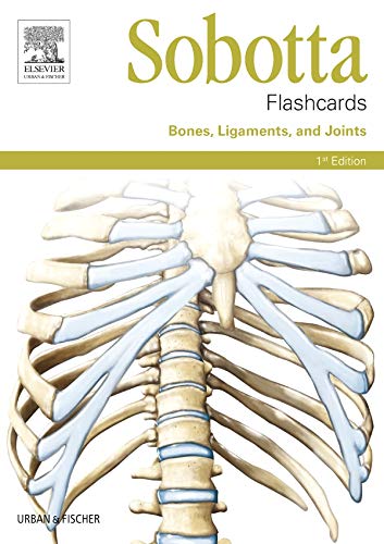 Sobotta Flashcards Bones, Ligaments, and Joints: Bones, Ligaments, and Joints von Urban & Fischer