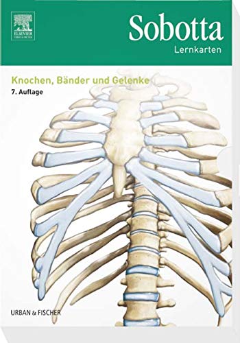 Sobotta Lernkarten Knochen, Bänder und Gelenke: Knochen, Bänder, Gelenke