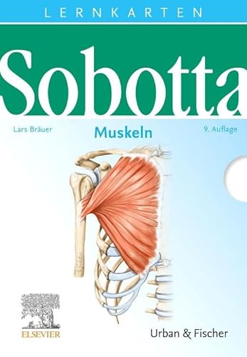 Sobotta Lernkarten Muskeln: Muskeln von Elsevier