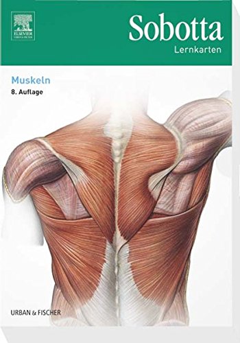 Sobotta Lernkarten Muskeln