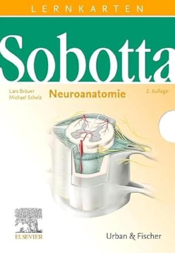 Sobotta Lernkarten Neuroanatomie: Neuroanatomie von Elsevier