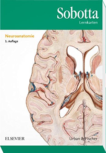 Sobotta Lernkarten Neuroanatomie