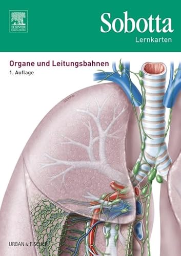 Sobotta Lernkarten Organe und Leitungsbahnen: Organe und Leitungsbahnen