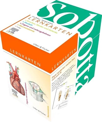 Sobotta Lernkartenpaket: Knochen, Bänder und Gelenke; Muskeln; Organe, Leitungsbahnen; Neuroanatomie von Elsevier