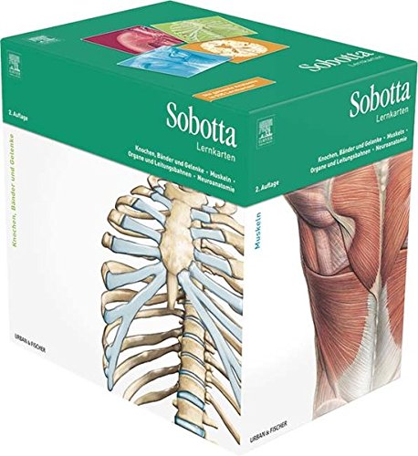 Sobotta Lernkartenpaket: Knochen, Bänder und Gelenke; Muskeln; Organe, Leitungsbahnen; Neuroanatomie