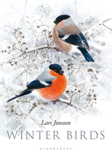 Winter Birds von Bloomsbury