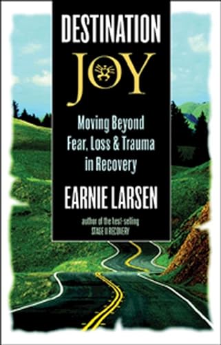 Destination Joy: Moving Beyond Fear. Loss, and Trauma in Recovery.