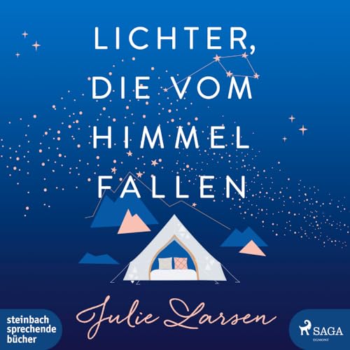 Lichter, die vom Himmel fallen von steinbach sprechende bücher