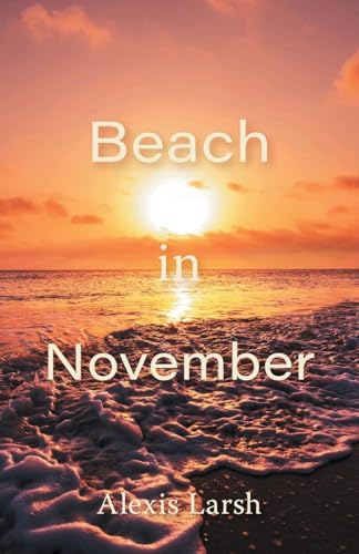Beach in November von FriesenPress