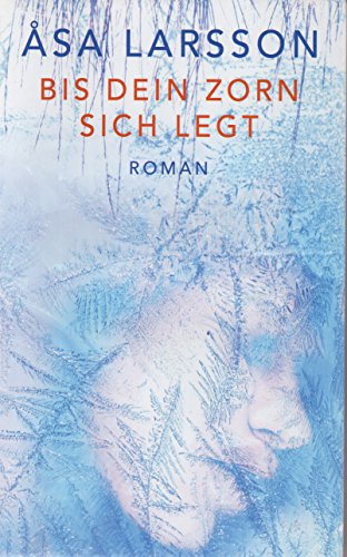 Bis dein Zorn sich legt: Roman