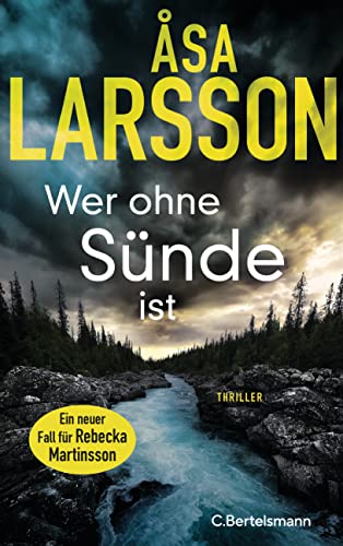 Wer ohne Sünde ist: Thriller. Der neue Thriller der Bestsellerautorin – ausgezeichnet als bester schwedischer Krimi des Jahres