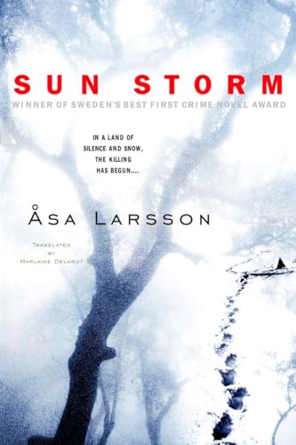 Sun Storm (Rebecka Martinsson, Band 1)