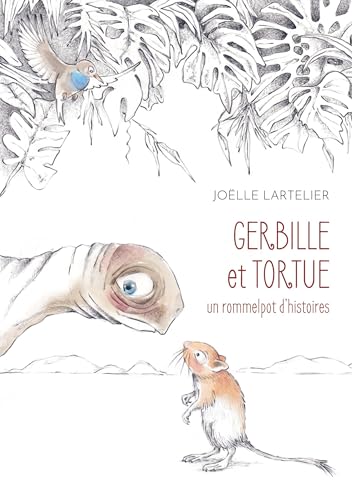 Gerbille et Tortue: & son rommelpot d'histoires von BoD – Books on Demand – Frankreich