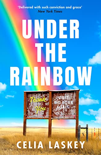 Under the Rainbow: A brilliantly observed and timely literary debut