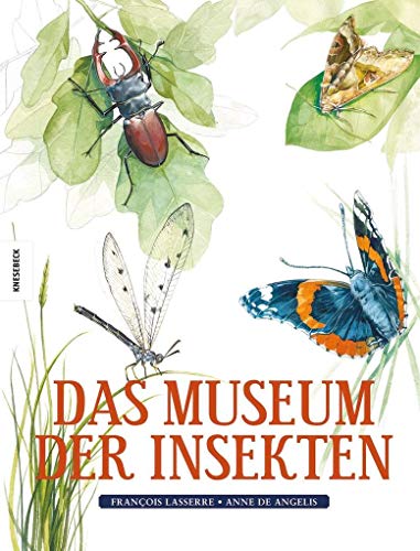 Das Museum der Insekten