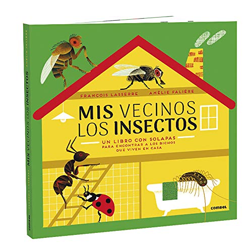 Mis vecinos los insectos
