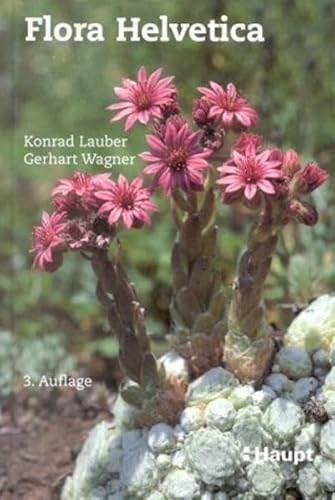 Flora Helvetica: 3000 Blüten- und Farnpflanzen der Schweiz, Artbeschreibungen und Bestimmungsschlüssel