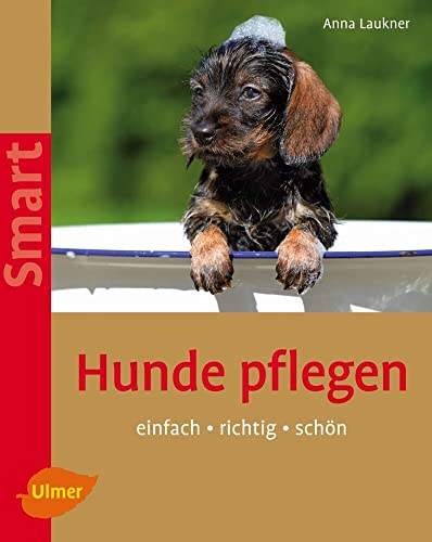 Hunde pflegen: Einfach - richtig - schön