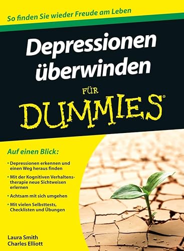 Depressionen für Dummies: So finden Sie wieder Freude am Leben