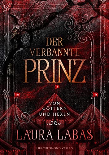 Der verbannte Prinz: Von Göttern und Hexen von Drachenmond-Verlag