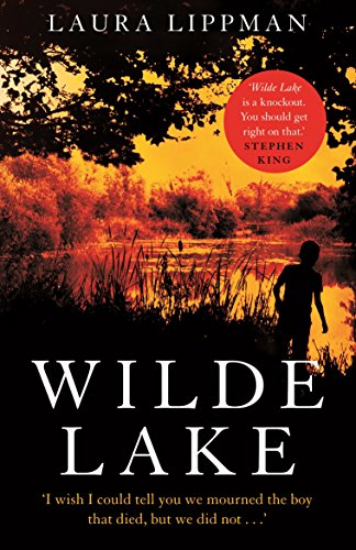 Wilde Lake: 'A knockout' Stephen King von Faber & Faber
