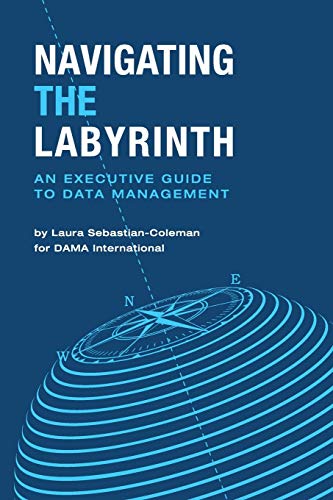 Navigating the Labyrinth: An Executive Guide to Data Management von Technics Publications