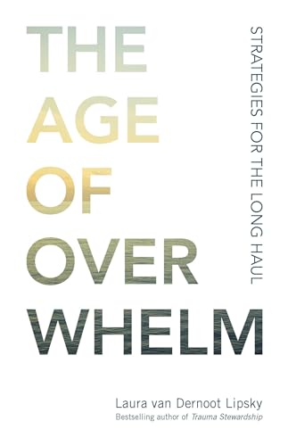 The Age of Overwhelm: Strategies for the Long Haul von Berrett-Koehler