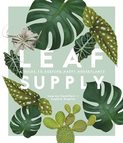 Leaf Supply: A Guide to Keeping Happy Houseplants Leaf Supply: A Guide to Keeping Happy Houseplants