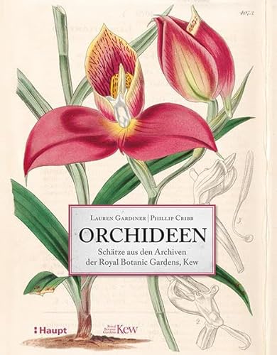 Orchideen: Schätze aus den Archiven der Royal Botanic Gardens, Kew