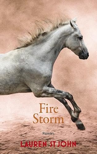 Fire Storm: Roman