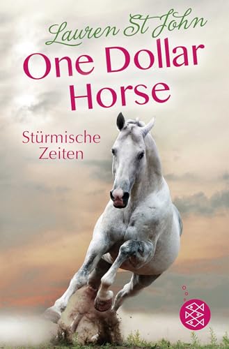 One Dollar Horse – Stürmische Zeiten von FISCHER KJB