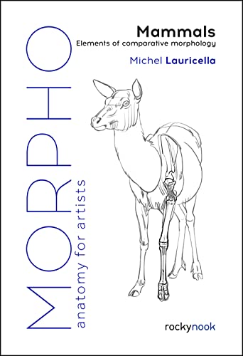 Morpho, Mammals: Elements of Comparative Morphology (Morpho: Anatomy for Artists) von Rocky Nook