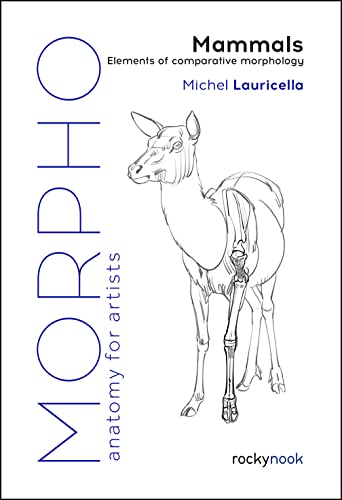 Morpho, Mammals: Elements of Comparative Morphology (Morpho: Anatomy for Artists, Band 9) von Rocky Nook