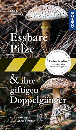 Essbare Pilze und ihre giftigen Doppelgänger: Pilze sammeln - aber richtig