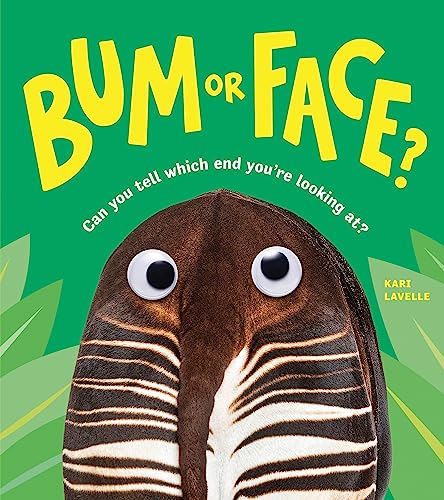 Bum or Face von Sourcebooks Explore